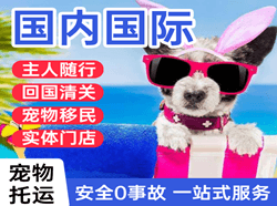佳木斯航空货运国际宠物托运 【国